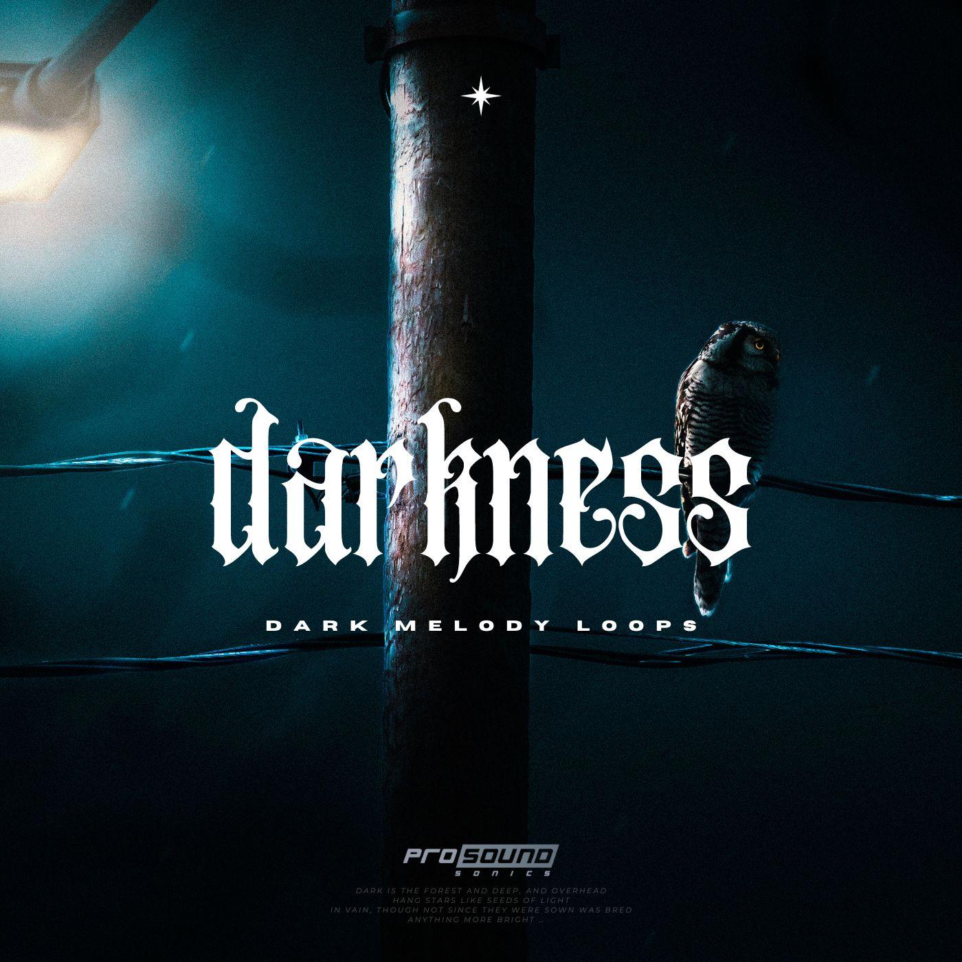 'Darkness' Dark Melody Loops - Prosound Sonics